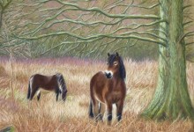 'Grazing ponies on Skipwith Common'